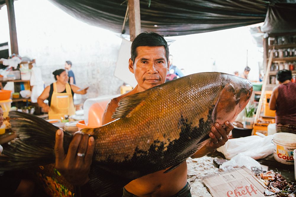 5 Days Amazon Itinerary High Water Season