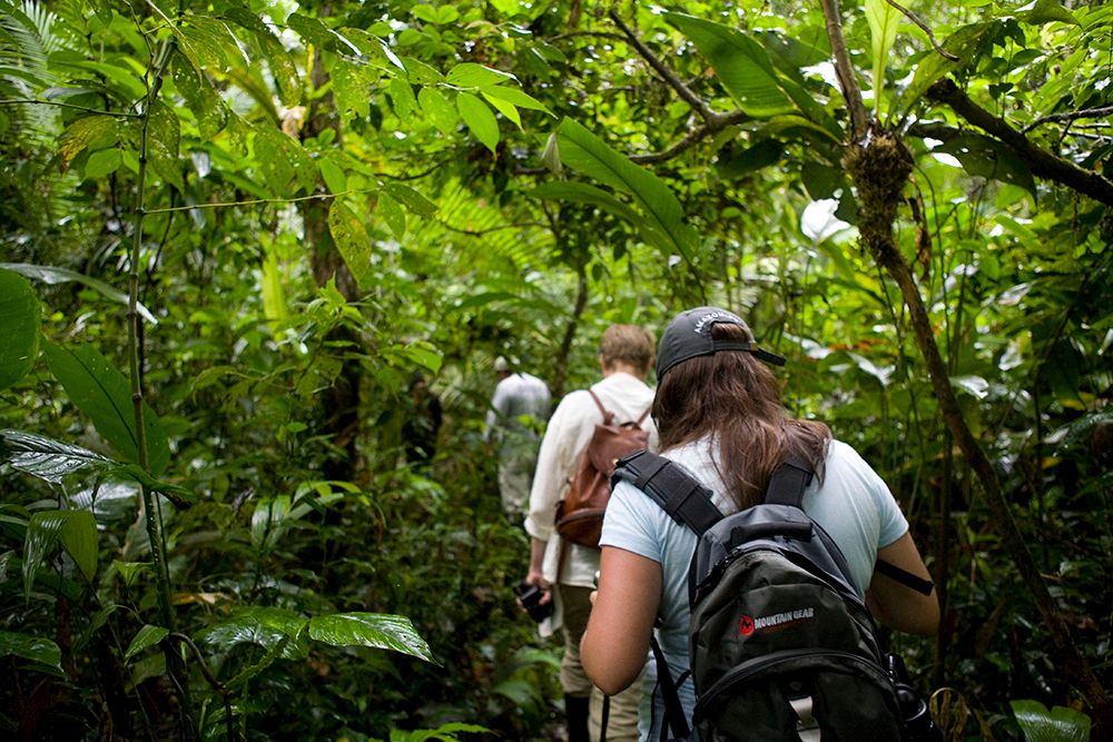 Amazon-jungle-trekking