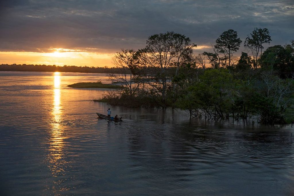 Amazon-landscape